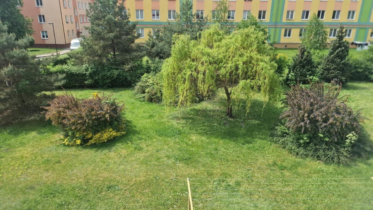 شقة Alfama Garden Grudziądz المظهر الخارجي الصورة